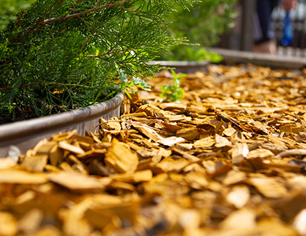 Bulk Landscape Mulch in Brownstown, MI | Freeport Stone - mulch2